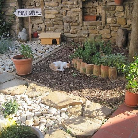 Rosandra Bed & Breakfast San Dorligo della Valle Bagian luar foto