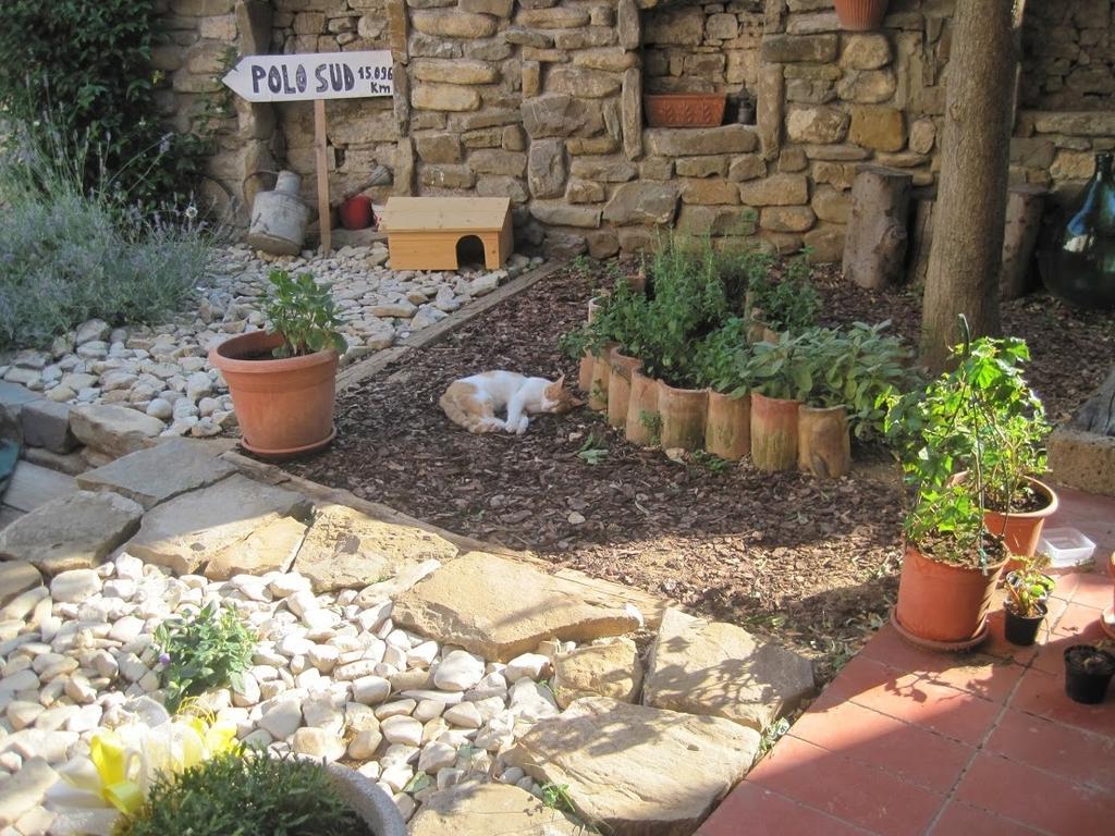 Rosandra Bed & Breakfast San Dorligo della Valle Bagian luar foto