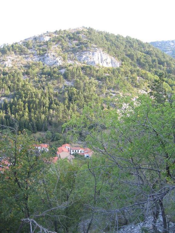 Rosandra Bed & Breakfast San Dorligo della Valle Bagian luar foto