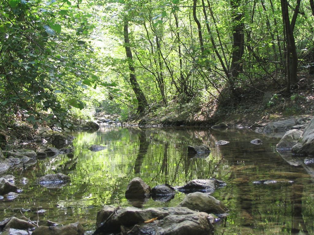 Rosandra Bed & Breakfast San Dorligo della Valle Bagian luar foto